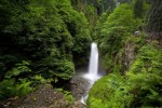 Gito Yaylası | 4 Yayla Turu Aynı Anda - Rize Yayla Turları 4 Yayla Turu Aynı Anda kapsamında ziyaret edilen Gito Yaylası sis denizi manzarası