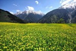 Gito Yaylası | 4 Yayla Turu Aynı Anda - Rize Yayla Turları 4 Yayla Turu Aynı Anda kapsamında ziyaret edilen Gito Yaylası sis denizi manzarası
