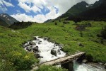 Gito Yaylası | 4 Yayla Turu Aynı Anda - Rize Yayla Turları 4 Yayla Turu Aynı Anda kapsamında ziyaret edilen Gito Yaylası sis denizi manzarası