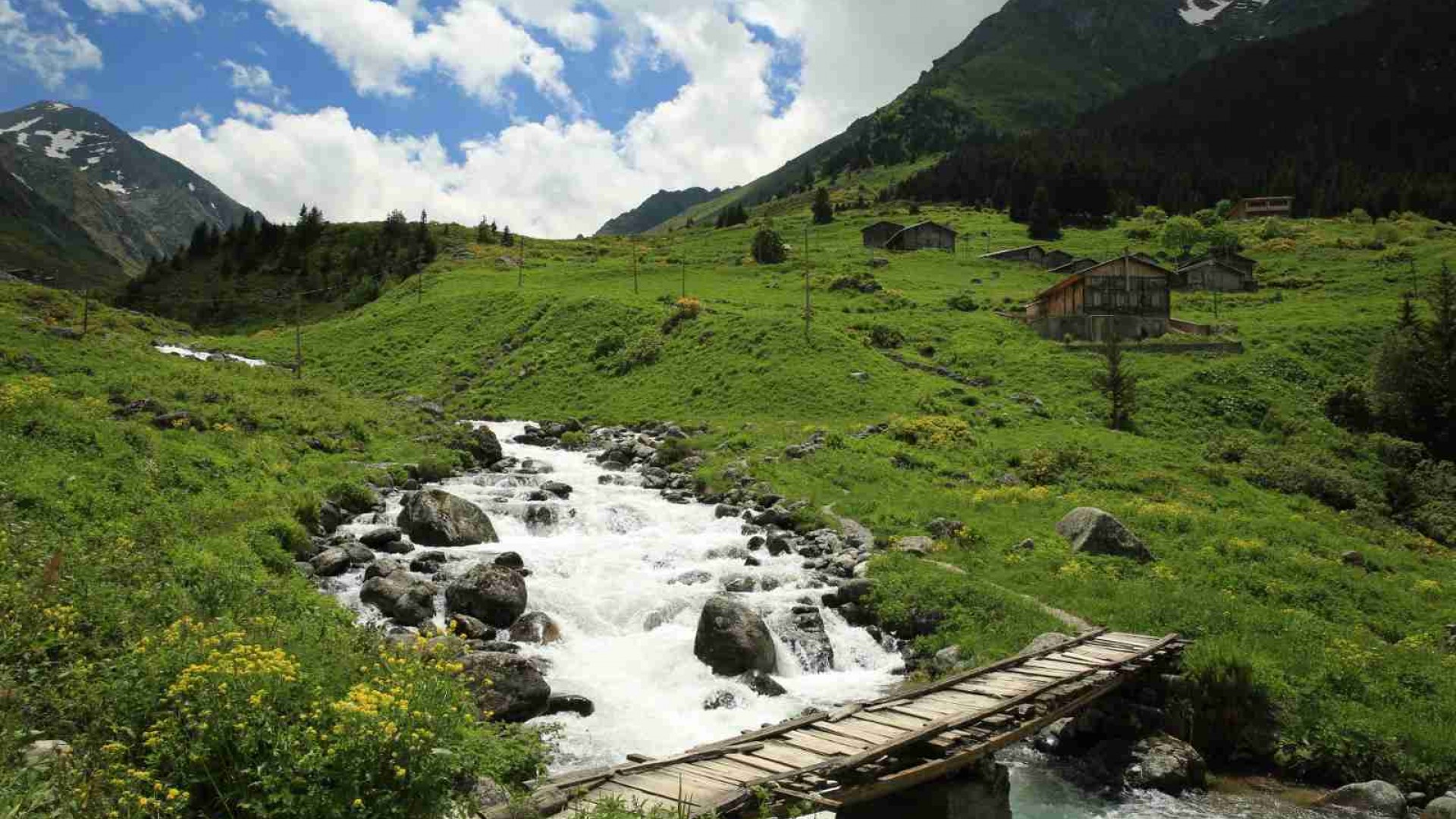 Gito Yaylası | 4 Yayla Turu Aynı Anda - Rize Yayla Turları 4 Yayla Turu Aynı Anda kapsamında ziyaret edilen Gito Yaylası sis denizi manzarası