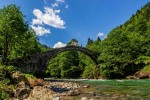 Rize merkez çıkışlı Elevit Yayla Turu ile ziyaret edilen Elevit Yaylası'nın doğal manzarası