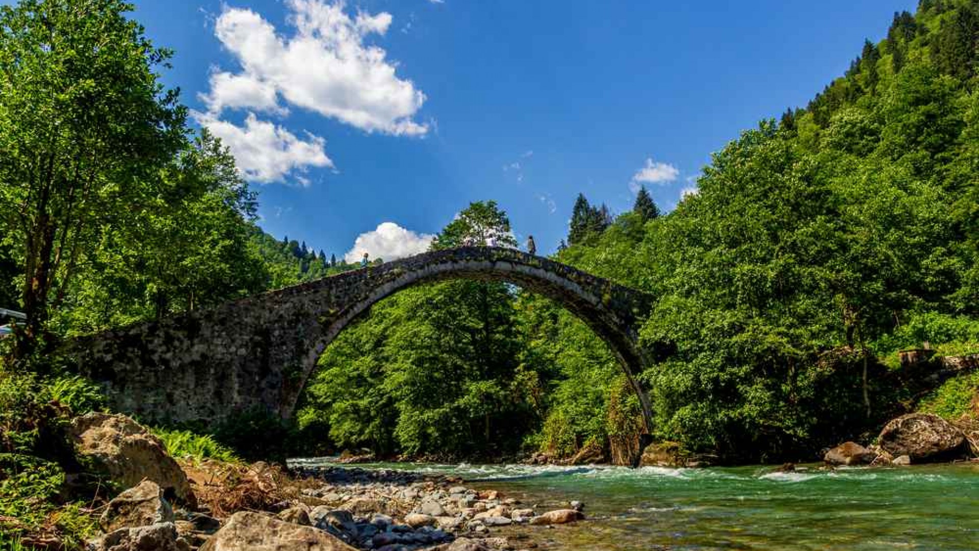 Rize merkez çıkışlı Elevit Yayla Turu ile ziyaret edilen Elevit Yaylası'nın doğal manzarası