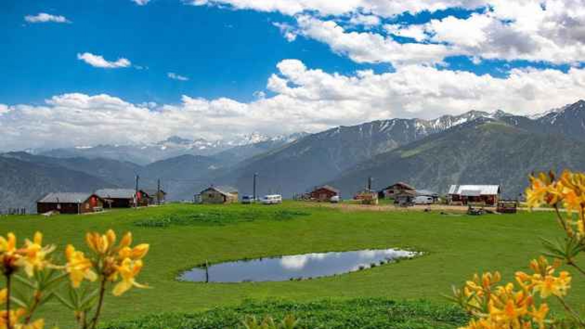 Gito Yaylası | 4 Yayla Turu Aynı Anda - Rize Yayla Turları 4 Yayla Turu Aynı Anda kapsamında ziyaret edilen Gito Yaylası sis denizi manzarası