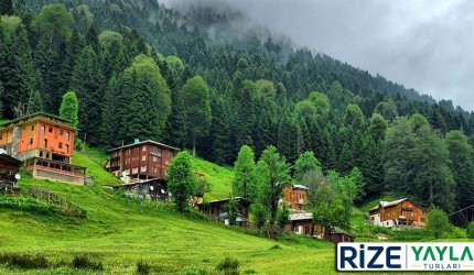 Ayder Yaylası Turu