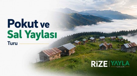 Pokut ve Sal Yaylası Turu